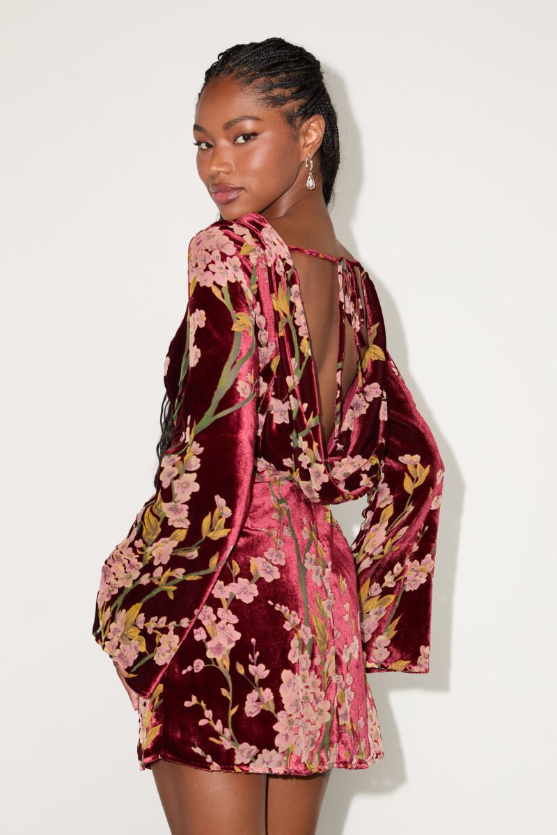 Charismatic Influence Red Burnout Velvet Cowl Back Mini Dress — view 1